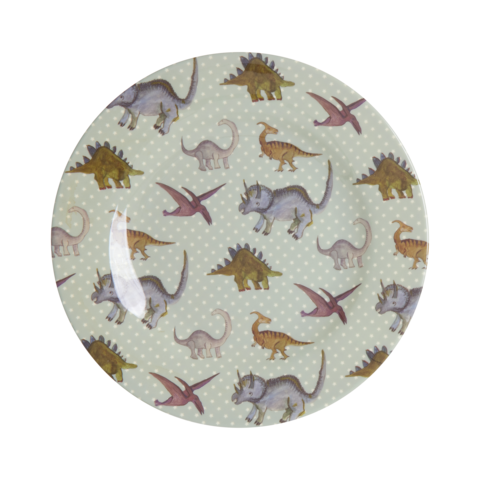 Rice melamine kinderbord New Dino print