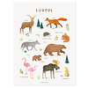 Lilipinso kinderposter Living Earth dieren van Europa