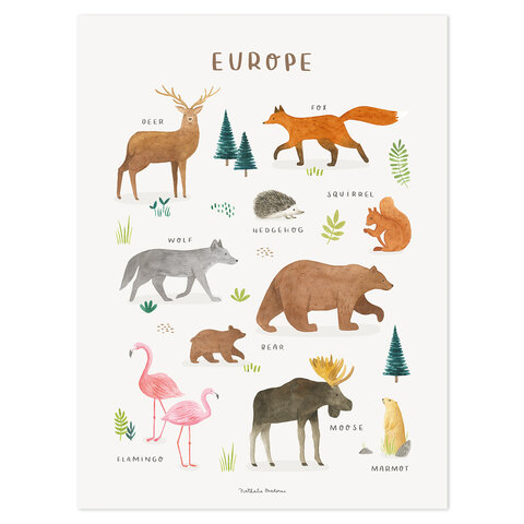 Lilipinso poster kinderkamer dieren van Europa