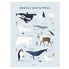 Lilipinso kinderposter Living Earth dieren van de Noordpool en Zuidpool