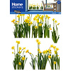 Nouvelles Images raamsticker XL narcissen