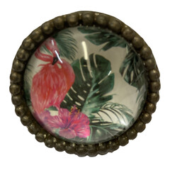 Collectie
