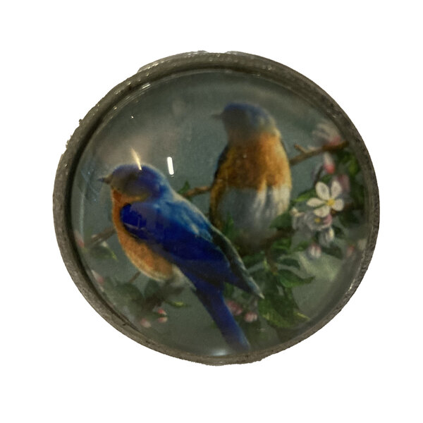  Kastknopje vogeltjes blauw