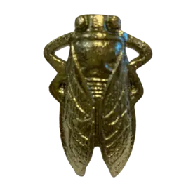  Kastknopje cicade goud