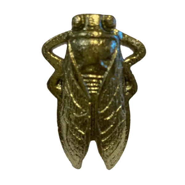  Deurknopje insect cicade goud