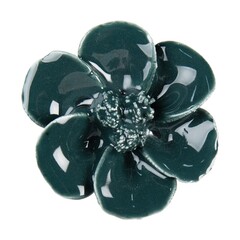 Collectie