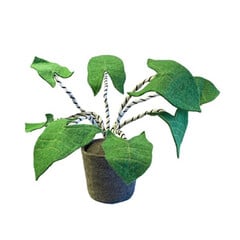 Producten getagd met plant