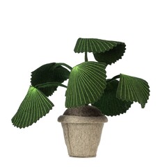 Producten getagd met plant