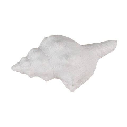Deurknopje schelp wit groot