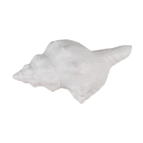 Clayre & Eef Clayre en Eef deurknop schelp wit groot