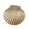 Clayre en Eef deurknop schelp goud groot