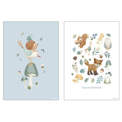 Collectie