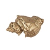 Clayre en Eef deurknop schelp goud klein