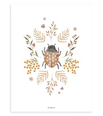 Collectie