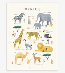Producten getagd met safari