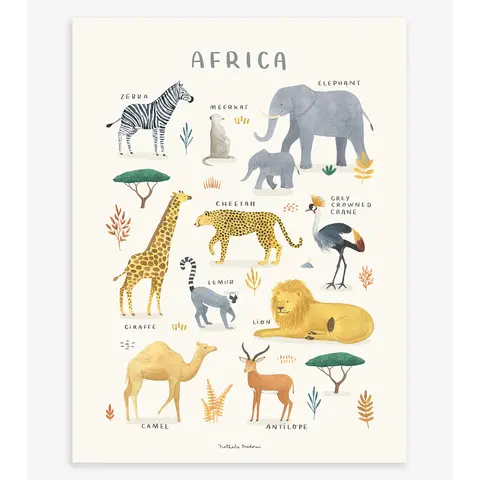 Lilipinso poster kinderkamer dieren van Afrika