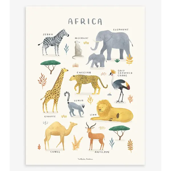 Lilipinso Lilipinso kinderposter Living Earth dieren van Afrika