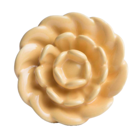 Bombay  Duck Bombay Duck deurknop bloem Dahlia geel groot