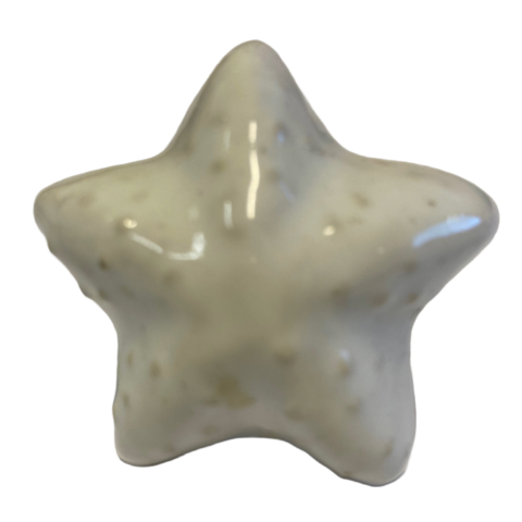 Kastknopje zeester wit