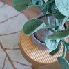 Kidsdepot vloerkleed kinderkamer blad Leaf