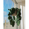 Kidsdepot hangende kunstplant Philodendron