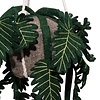 Kidsdepot hangende kunstplant Philodendron