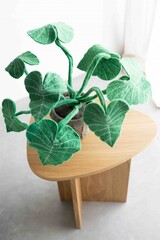 Baby-/Kinderkamer met Botanisch Thema