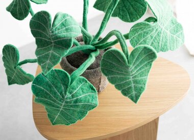 Botanische Kinderkamer