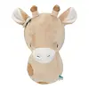 Little Dutch dierenkop giraffe