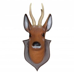 Producten getagd met bos