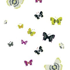 Collectie