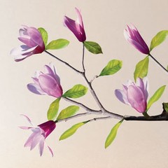 Producten getagd met magnolia