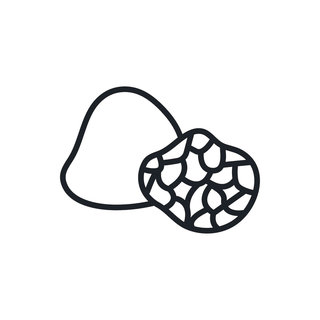 Discover the Best Magic Truffles: McSmart Truffles for a Unique Experience and Safe Use