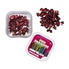 Novus Fumus Pink Paradise Magic Truffels Novus Fumus Pink Paradise Magic Truffels