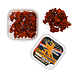Novus Fumus Dutch Dragons Magic Truffels Novus Fumus Dutch Dragons Magic Truffels