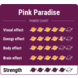 Novus Fumus Pink Paradise Magic Truffels Novus Fumus Pink Paradise Magic Truffels