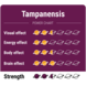 Novus Fumus Psilocybe Tampanensis Magic Truffels Novus Fumus Psilocybe Tampanensis Magic Truffels