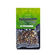 Novus Fumus Psilocybe Tampanensis Magic Truffels Novus Fumus Psilocybe Tampanensis Magic Truffels