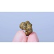 Novus Fumus Psilocybe Tampanensis Magic Truffels Novus Fumus Psilocybe Tampanensis Magic Truffels