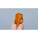 Novus Fumus Dutch Dragons Magic Truffels Novus Fumus Dutch Dragons Magic Truffels