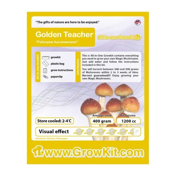 Culture de champignons hallucinogène Golden Teacher de Setnatur- Alchimia  Grow Shop