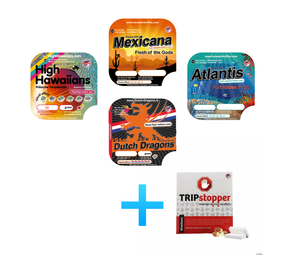 McSmart Trip around the world McSmart Trip around the world