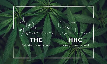 Understanding the Differences Between THC and HHC: A Comprehensive Guide