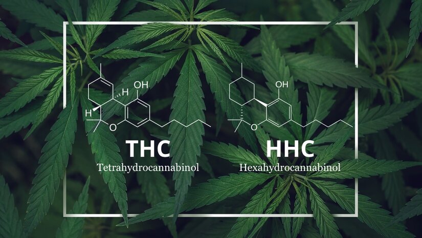 Understanding the Differences Between THC and HHC: A Comprehensive Guide