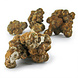 Novus Fumus Krachtige Mush Magic Utopia Magische Truffels 15g - Perfect voor Intense Visuele Trips - Lange Kweekduur voor Verhoogde Potentie Novus Fumus Krachtige Mush Magic Utopia Magische Truffels 15g - Perfect voor Intense Visuele Trips - Lange Kweekduur voor Verhoogde Potentie