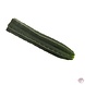 Novus Fumus San Pedro Cactus (25 cm) - Mescaline Natuurproduct | Sjamanistisch en Spiritueel Gebruik Novus Fumus San Pedro Cactus (25 cm) - Mescaline Natuurproduct | Sjamanistisch en Spiritueel Gebruik
