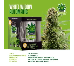 iGrowCan White Widow Autoflower iGrowCan White Widow Autoflower