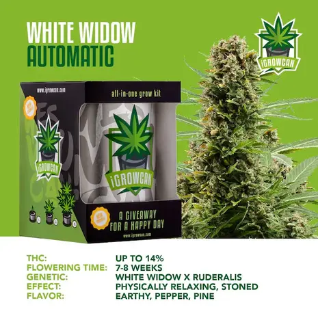 White Widow iGrowCan