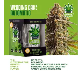 iGrowCan Pastel De Boda Autofloreciente iGrowCan Pastel De Boda Autofloreciente