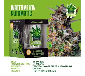 iGrowCan Sandía Autofloreciente iGrowCan Sandía Autofloreciente